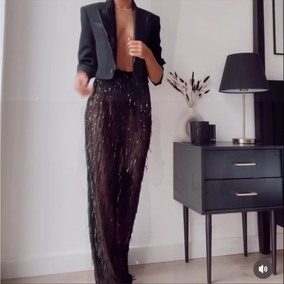 Zara SEQUIN FRINGED STRAIGHT LEG PANTS - Picture 2 of 6